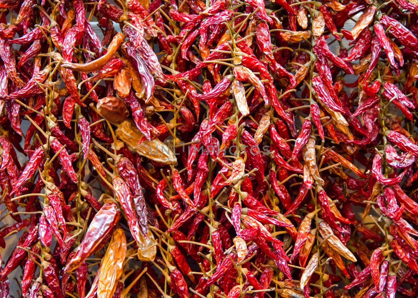 Bundle of dried red hot pepper