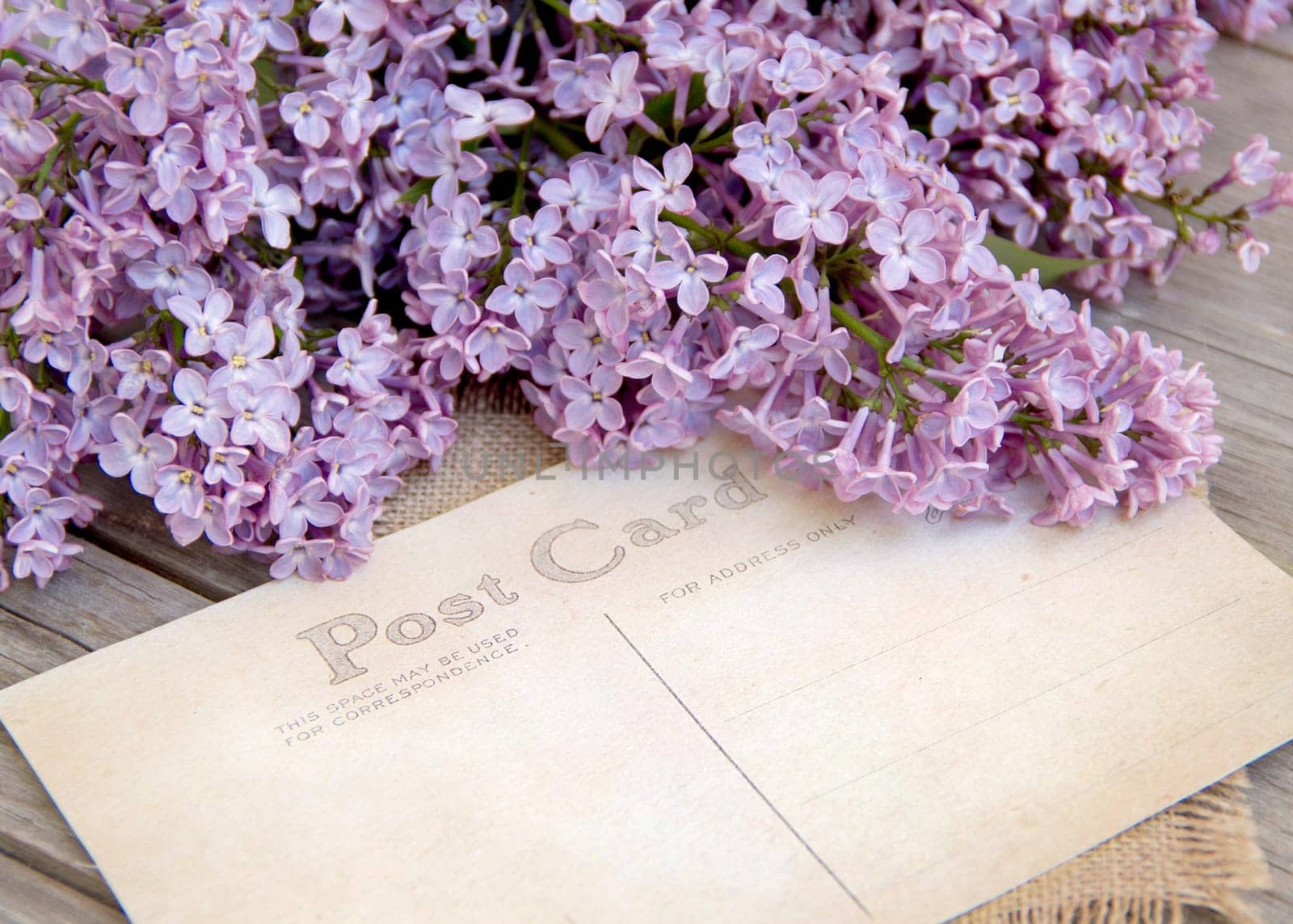 Lilac and postcard on weathered wood