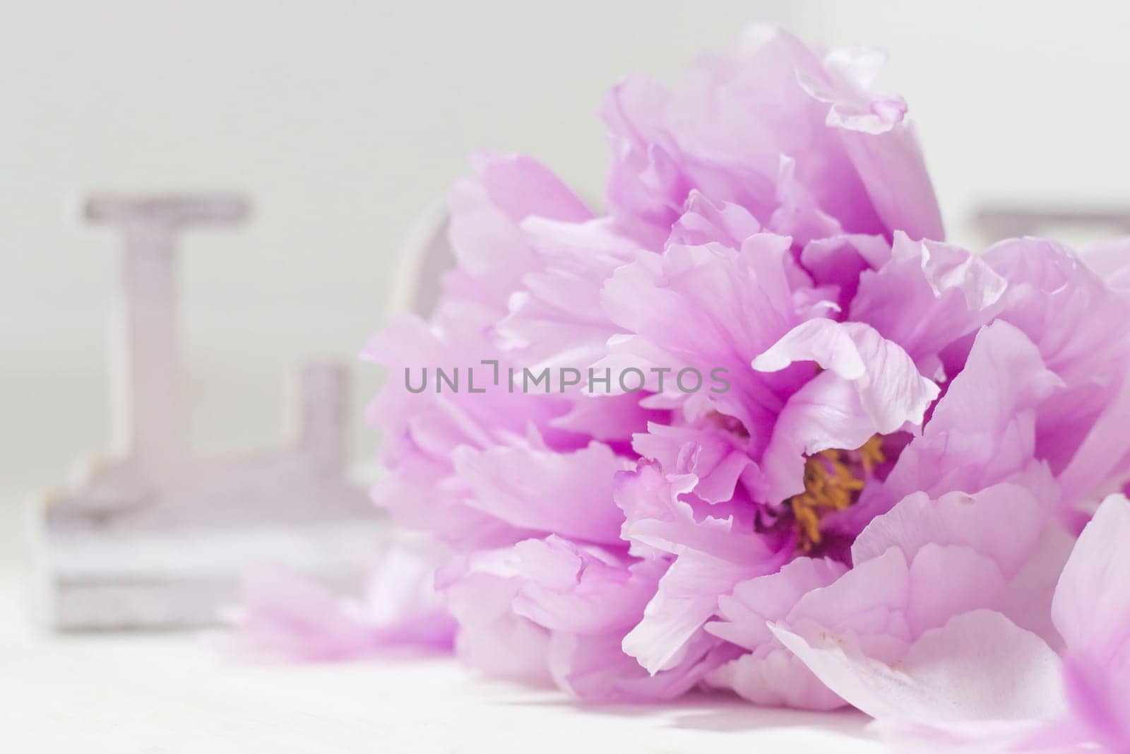 Peony and Love