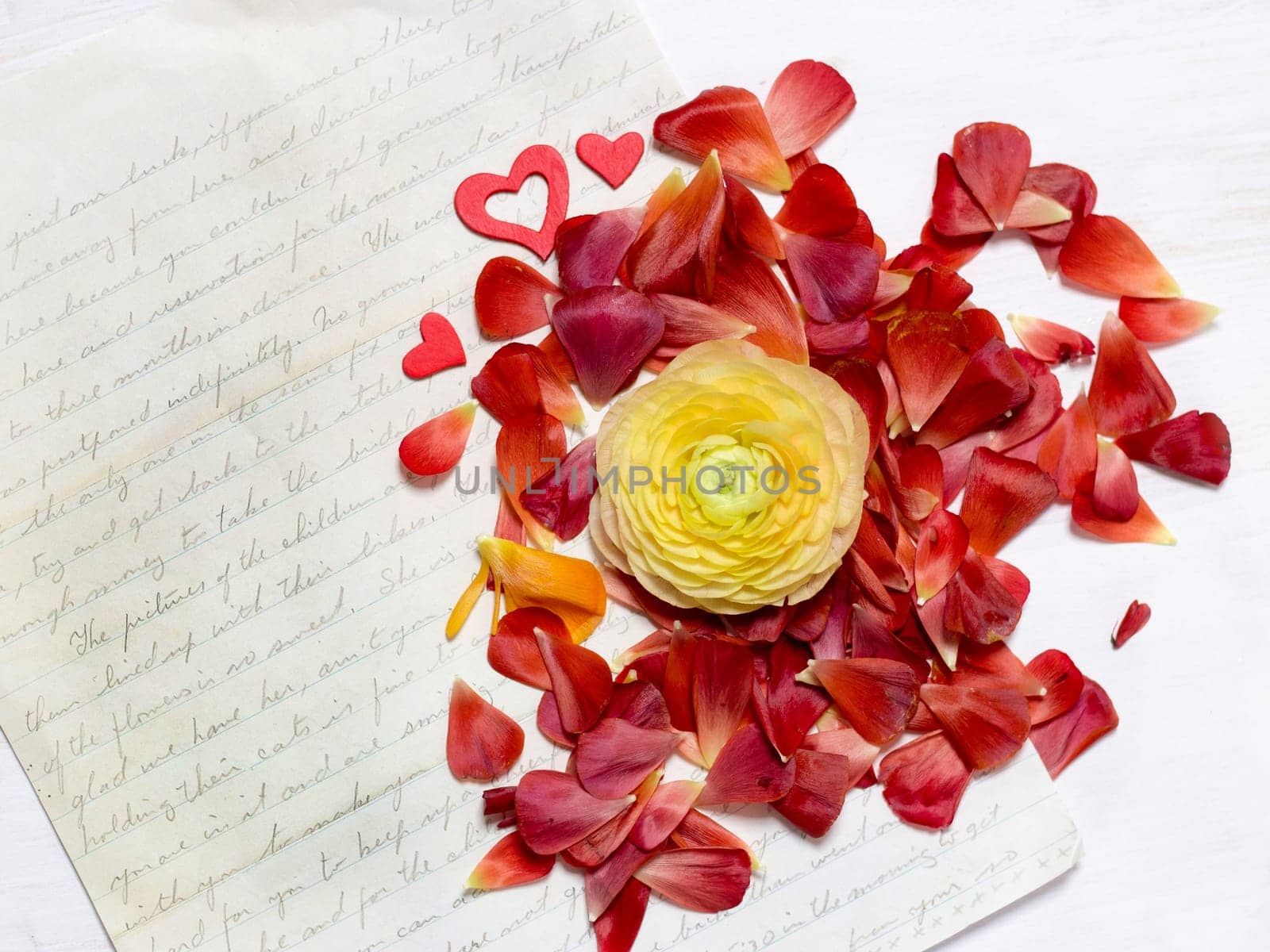 Ranunculus flowers background