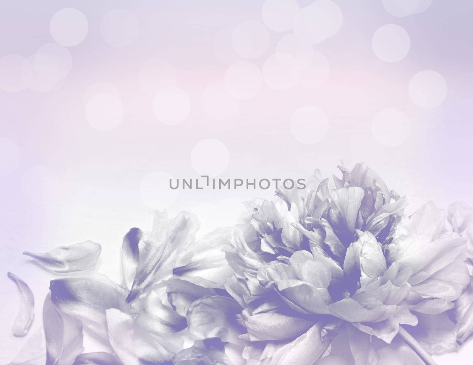 Beautiful flowers made with color filters - Abstrack background