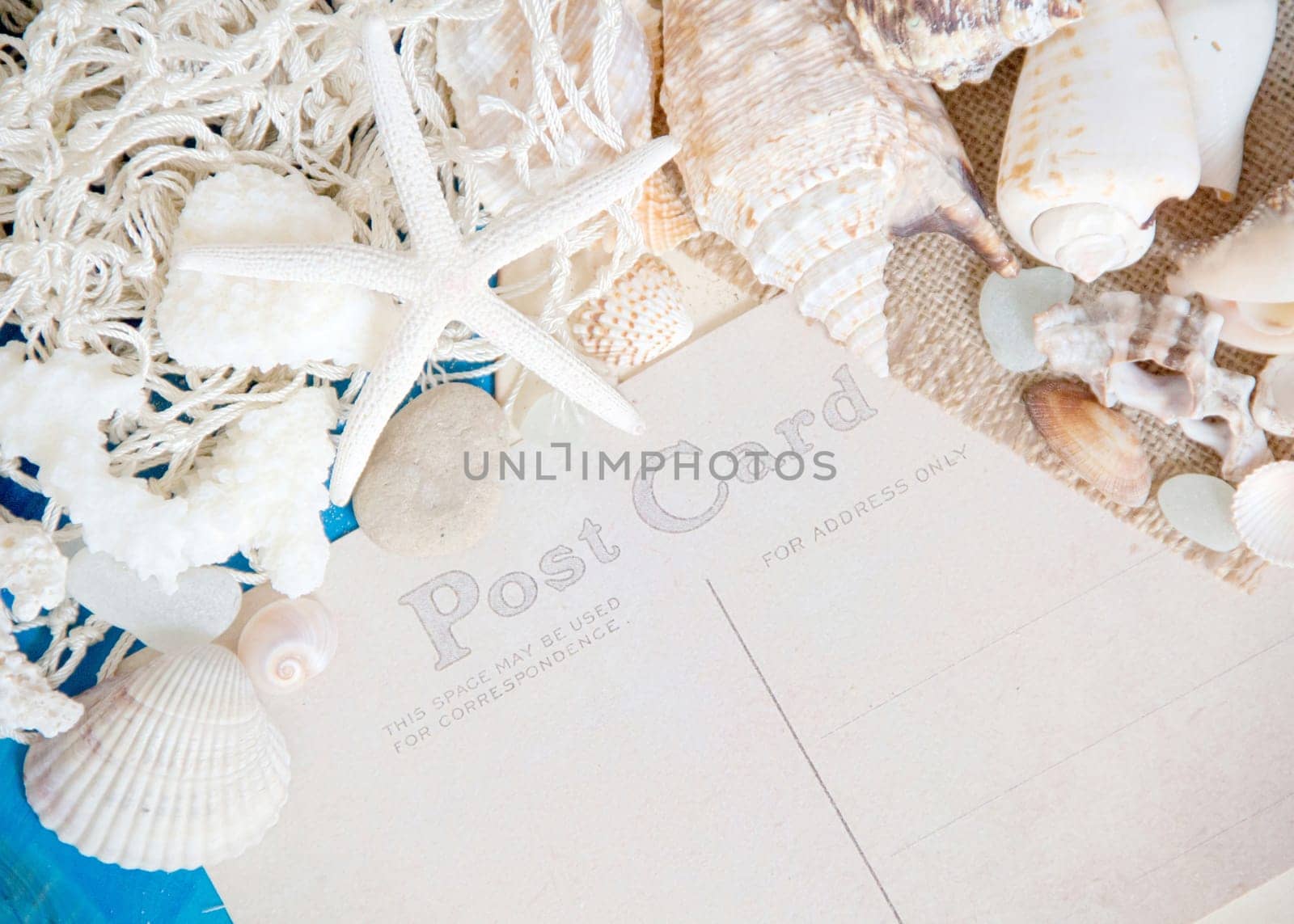 Postcard from the traveler