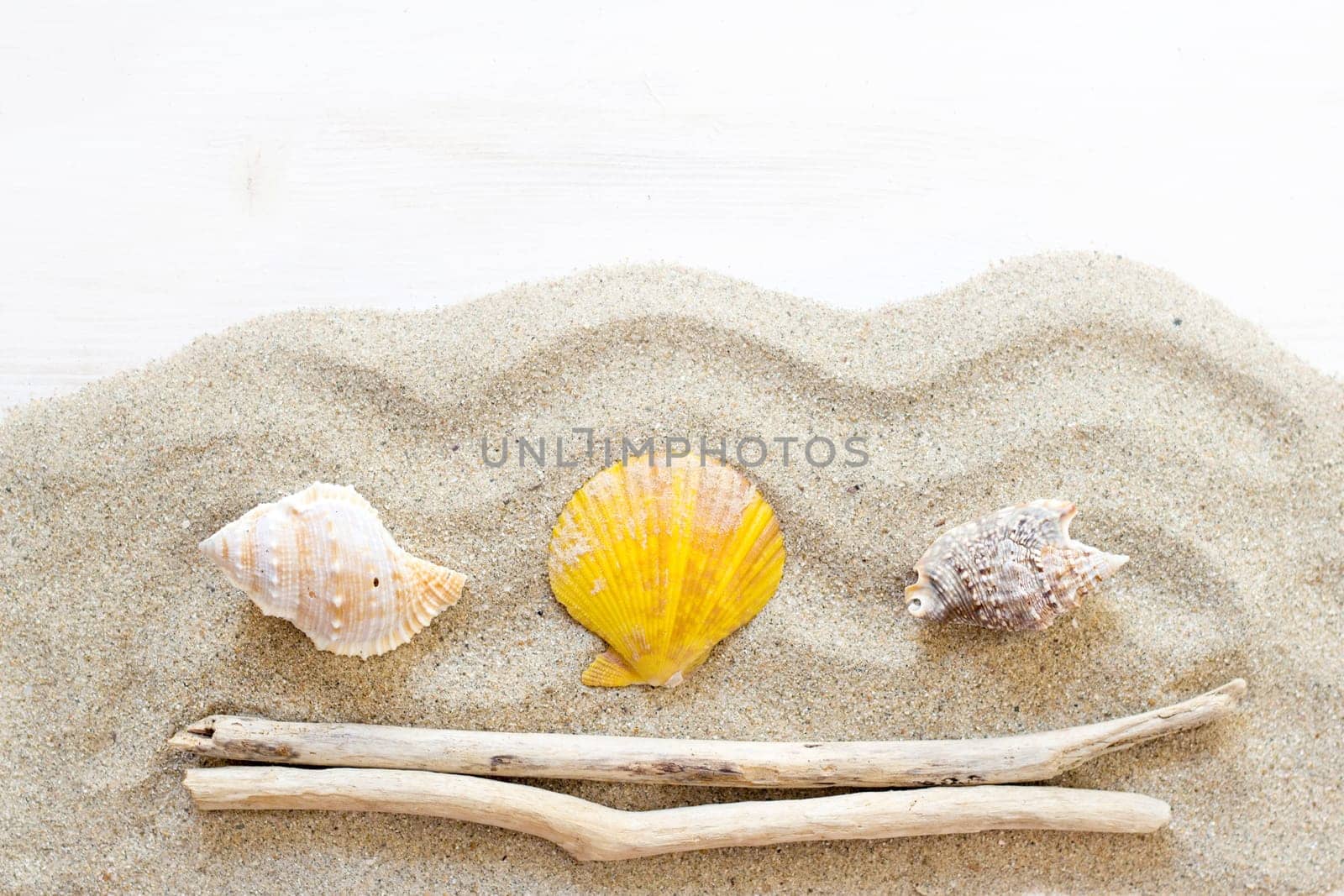 Sea shells, starfish and wood - Tropical travel