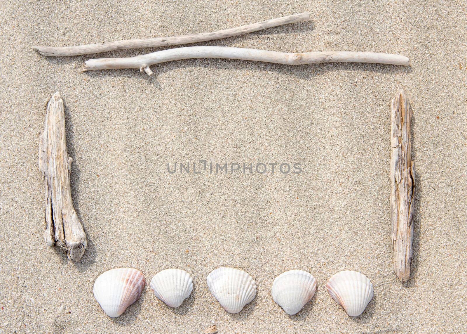 Sea shells and wood on sand