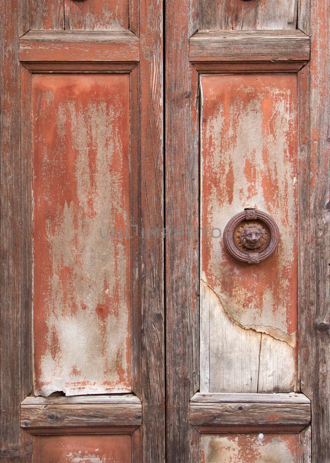 Antique wooden door