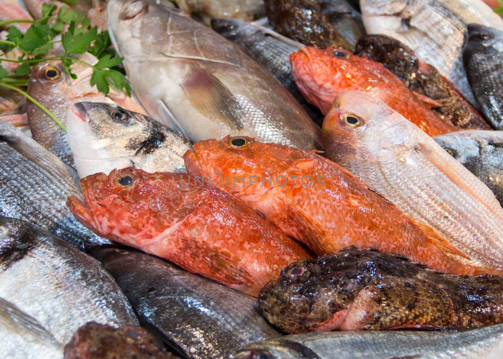 Mixed fish for sale on a market
