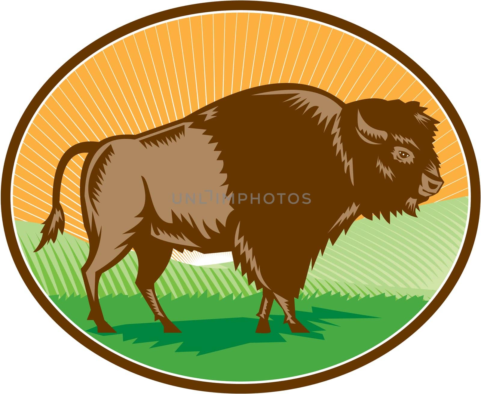 Illustration of an american bison buffalo bull viewed from the side set inside oval shape with sunburst and grass field in the background done in retro woodcut style.