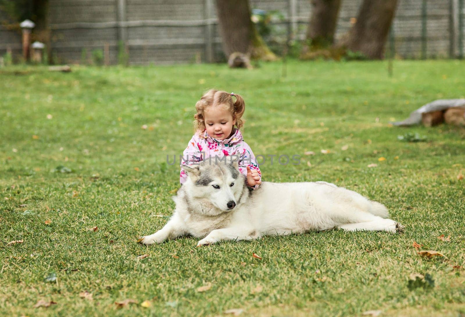 The little baby girl playing with dog against green grass in park