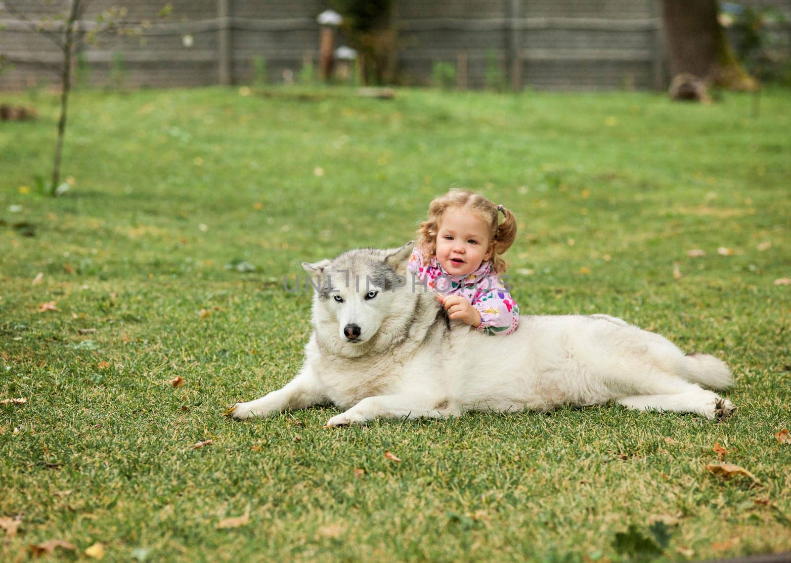The little baby girl playing with dog against green grass in park