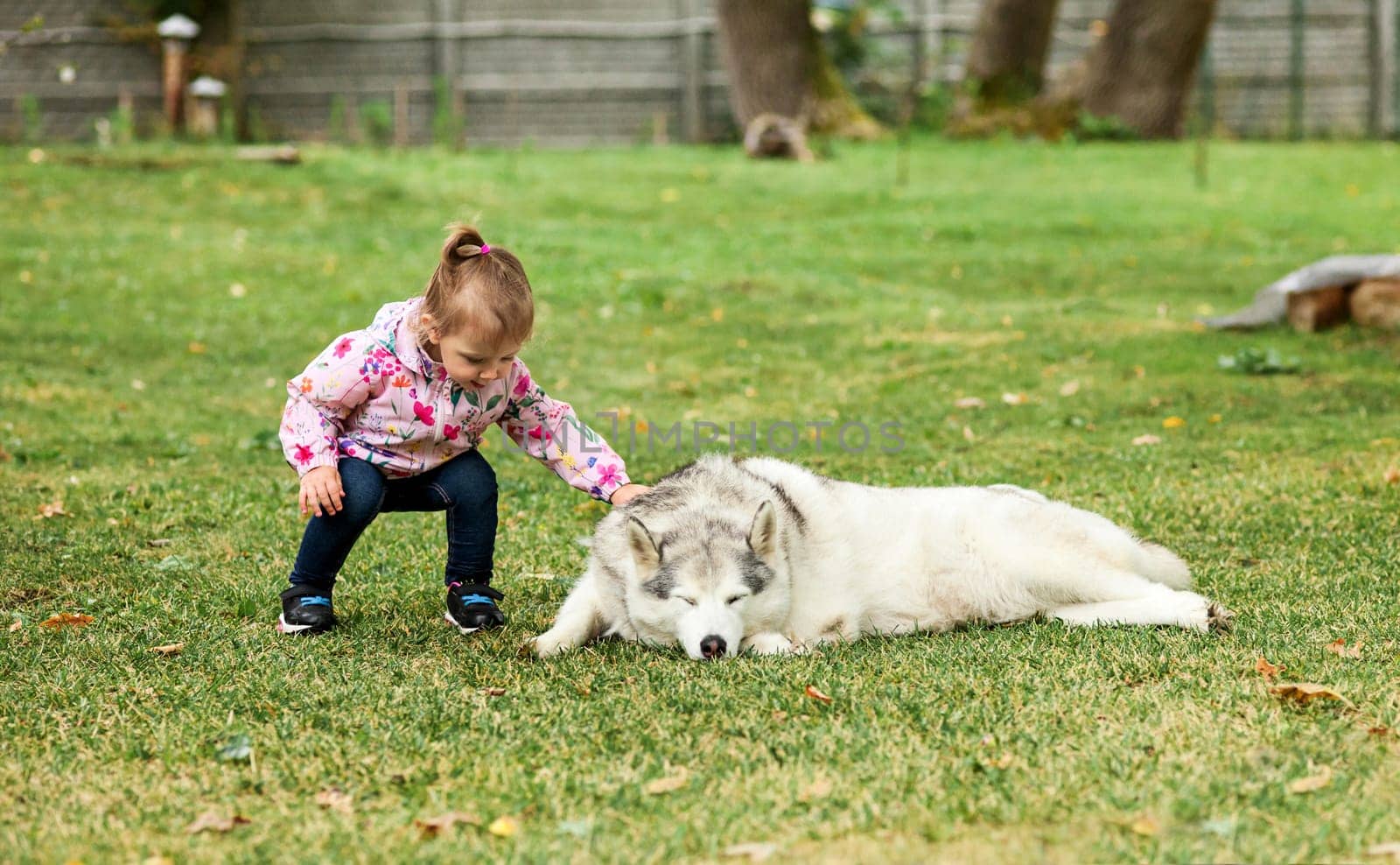 The little baby girl playing with dog against green grass in park