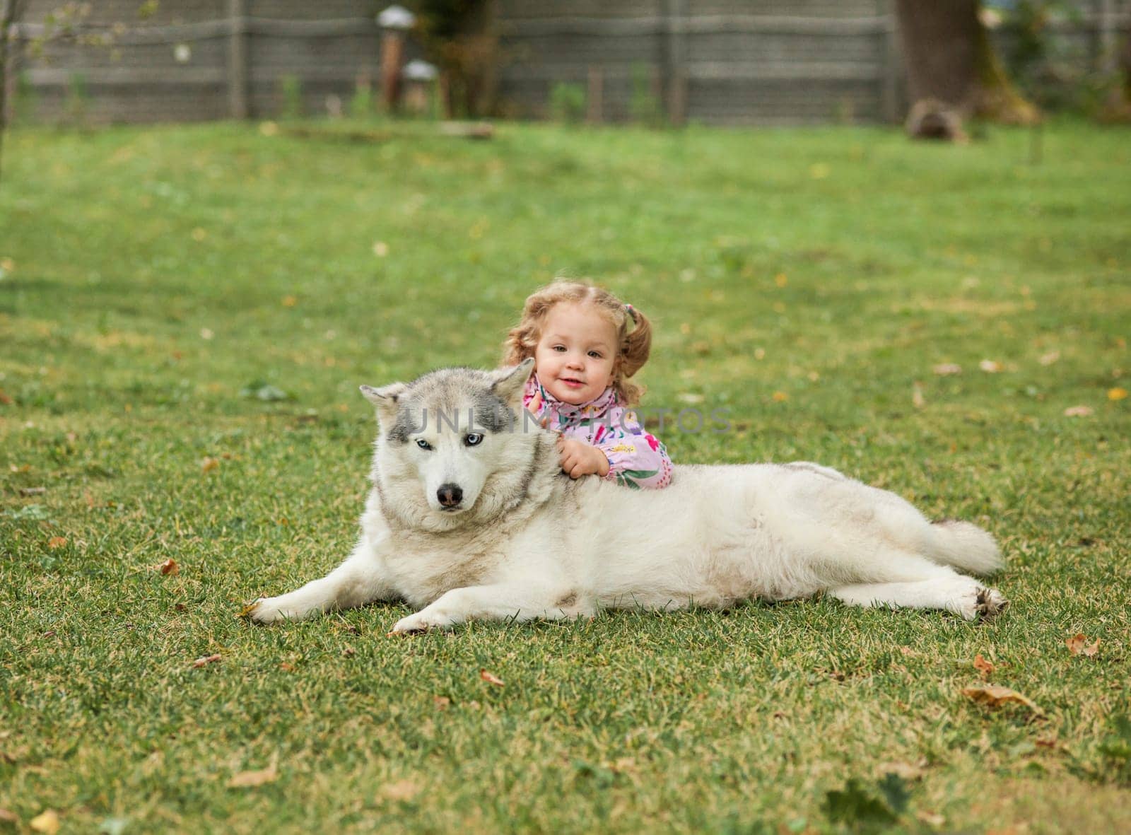 The little baby girl playing with dog against green grass in park
