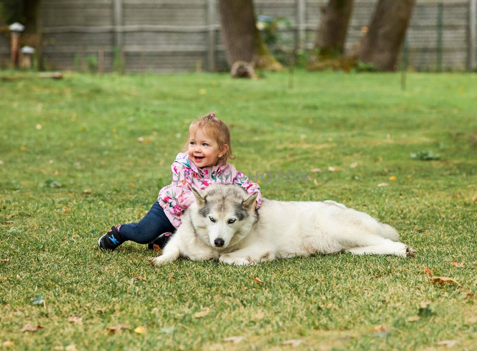 The little baby girl playing with dog against green grass in park