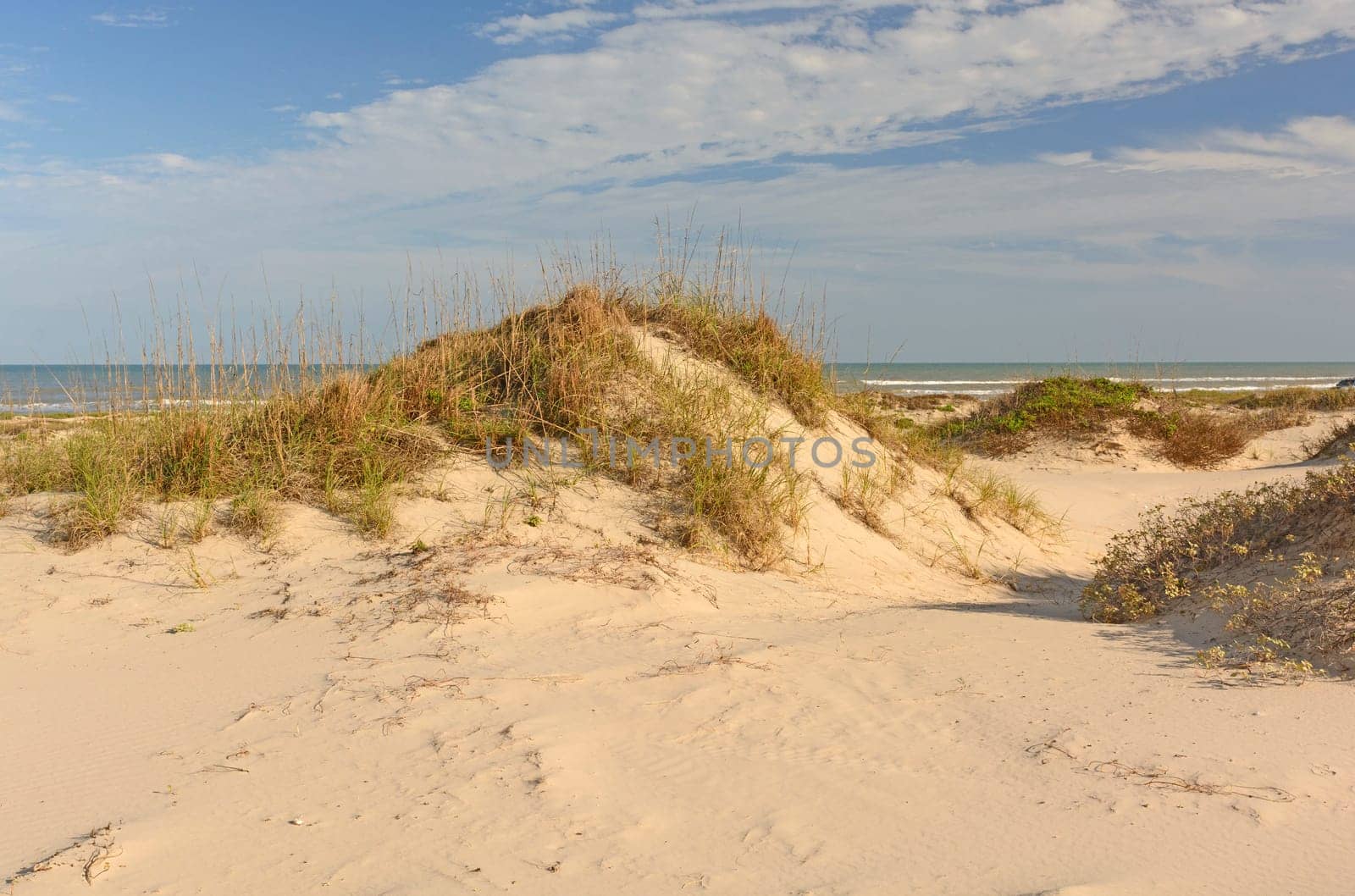 Sand Dunes on the Gulf Coast of Texas at Boca Chica State Park