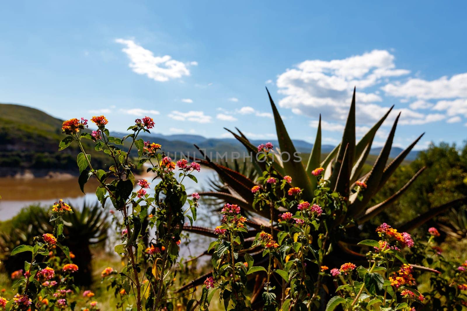 The Kouga Dam is an arch dam on the Kouga River about 21 km west of Patensie in Kouga Local Municipality, South Africa.