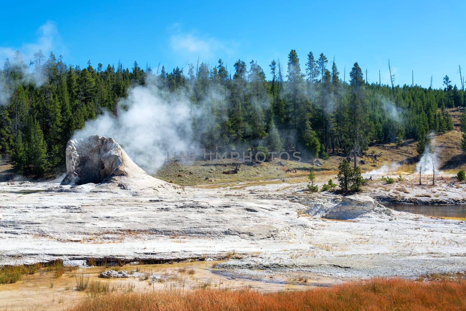 View of Giant Geyser in the Upper Geyser Basin in Yellowstone National Park