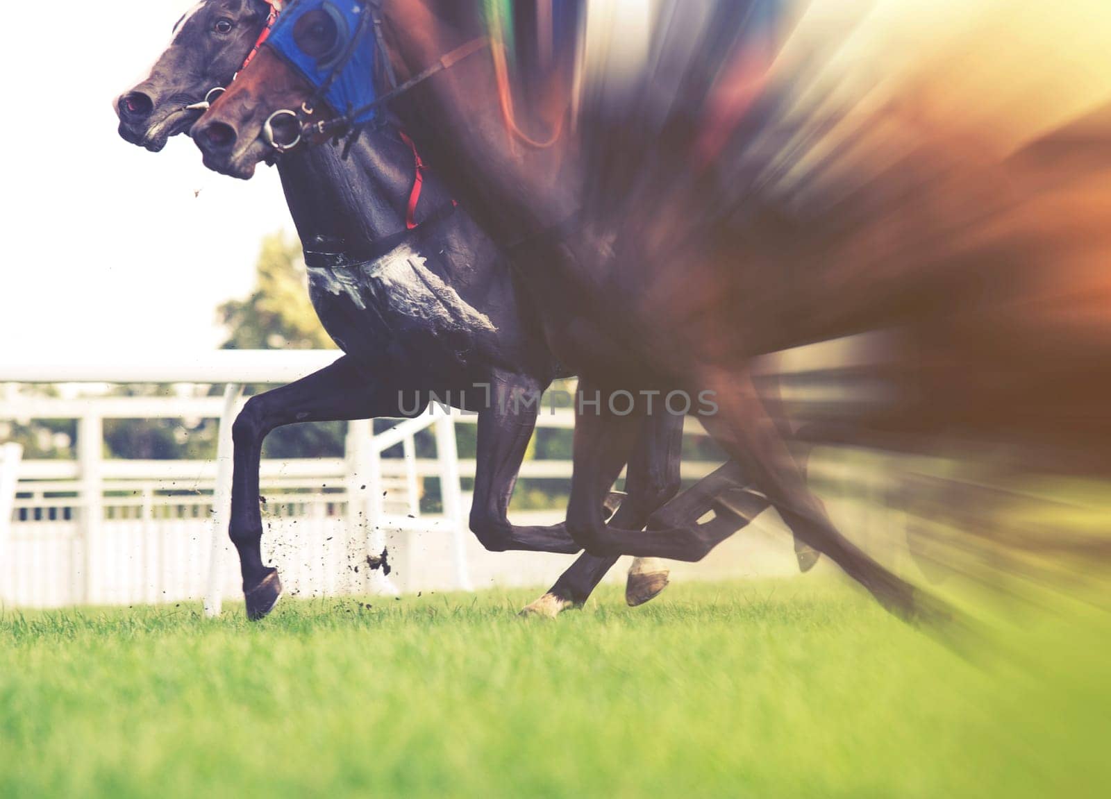 horse racing,selective focus and blurred
