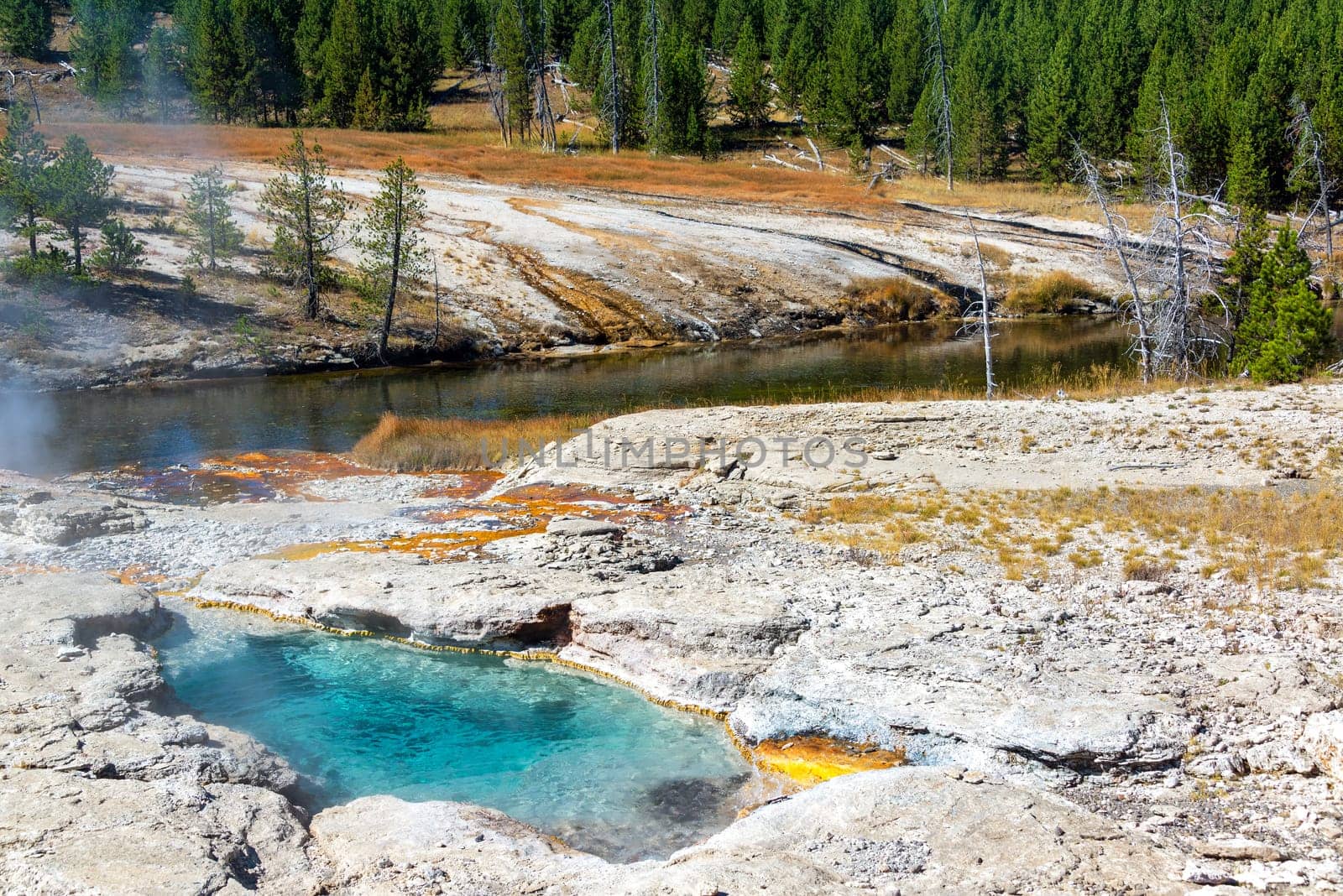 View of Spiteful Geyser on the shore of the Firehole River in Yellowstone National Park