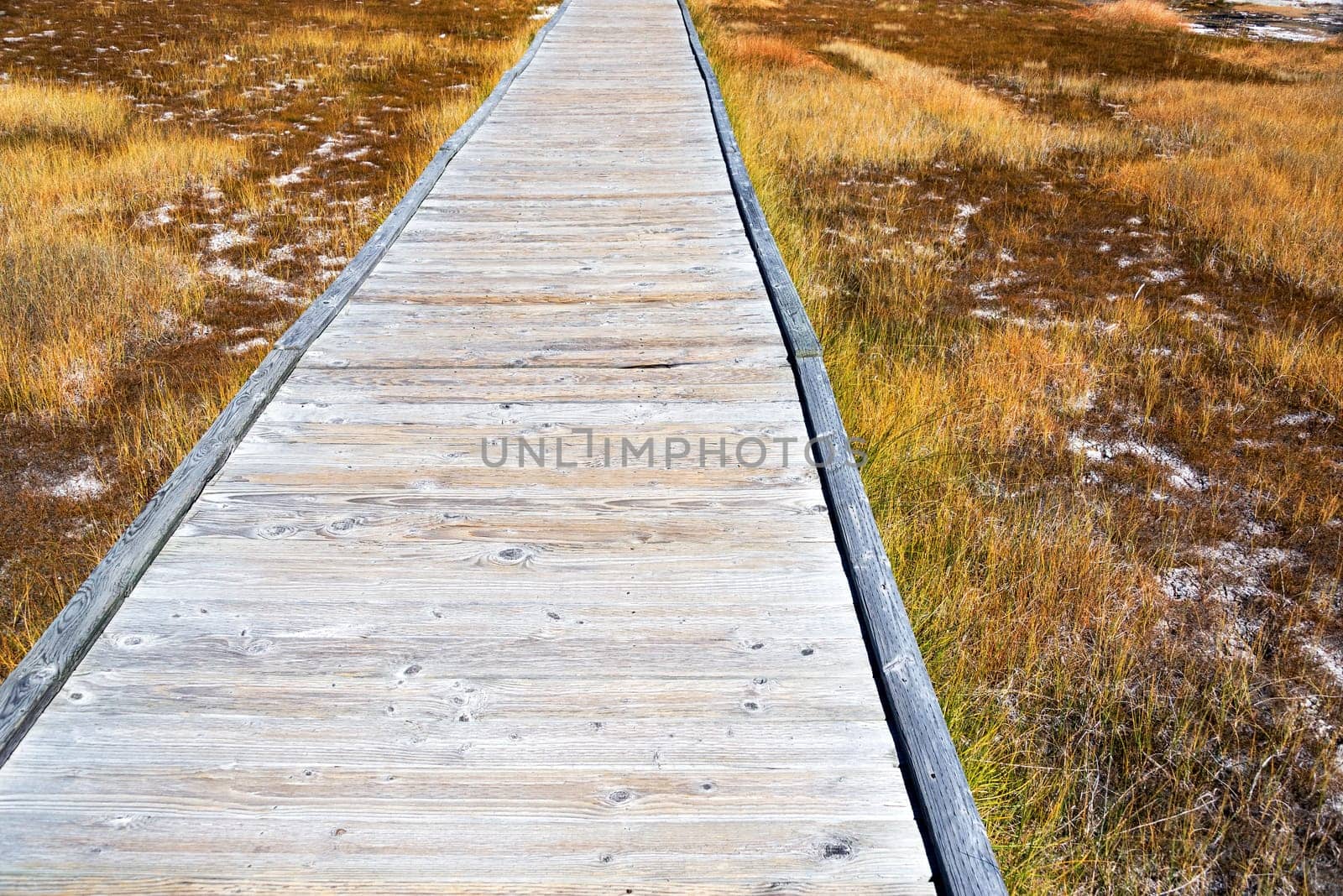 Boardwalk in the Upper Geyser Basin in Yellowstone National Park