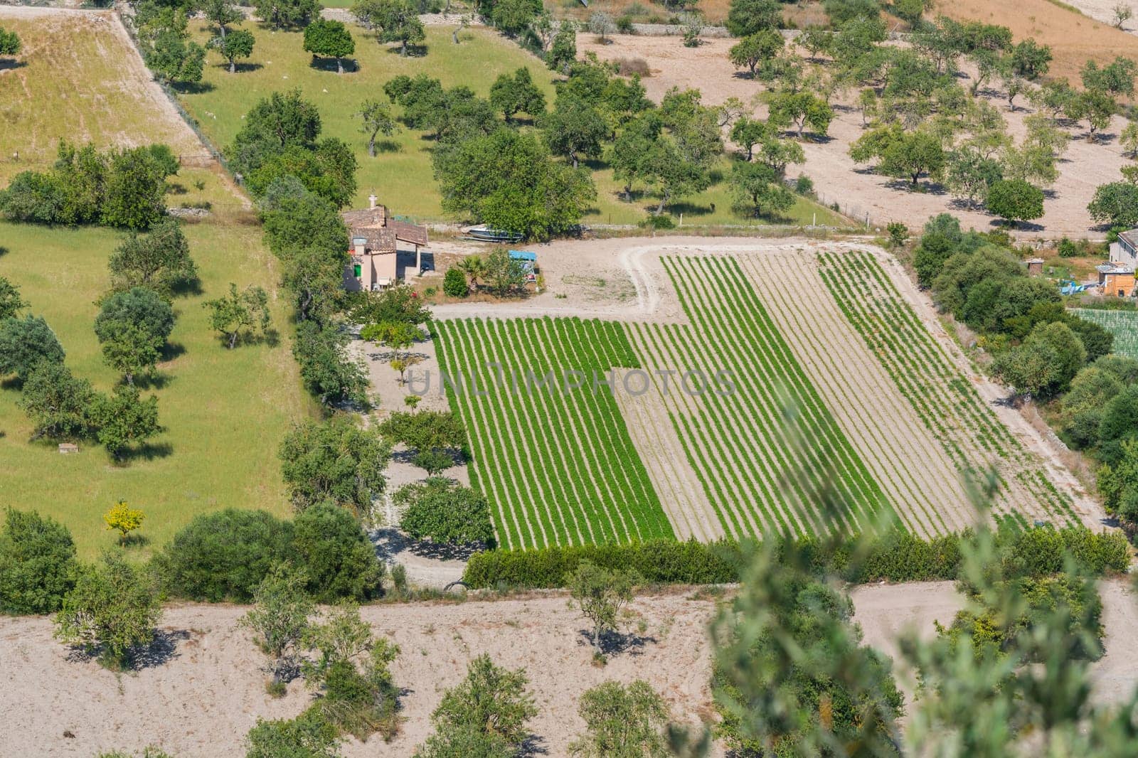 Panoramic view of various fields,Mallorca,Spain.