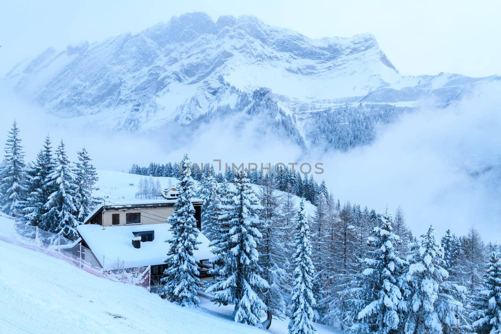 The cold in the mountains. Switzerland,Villars.