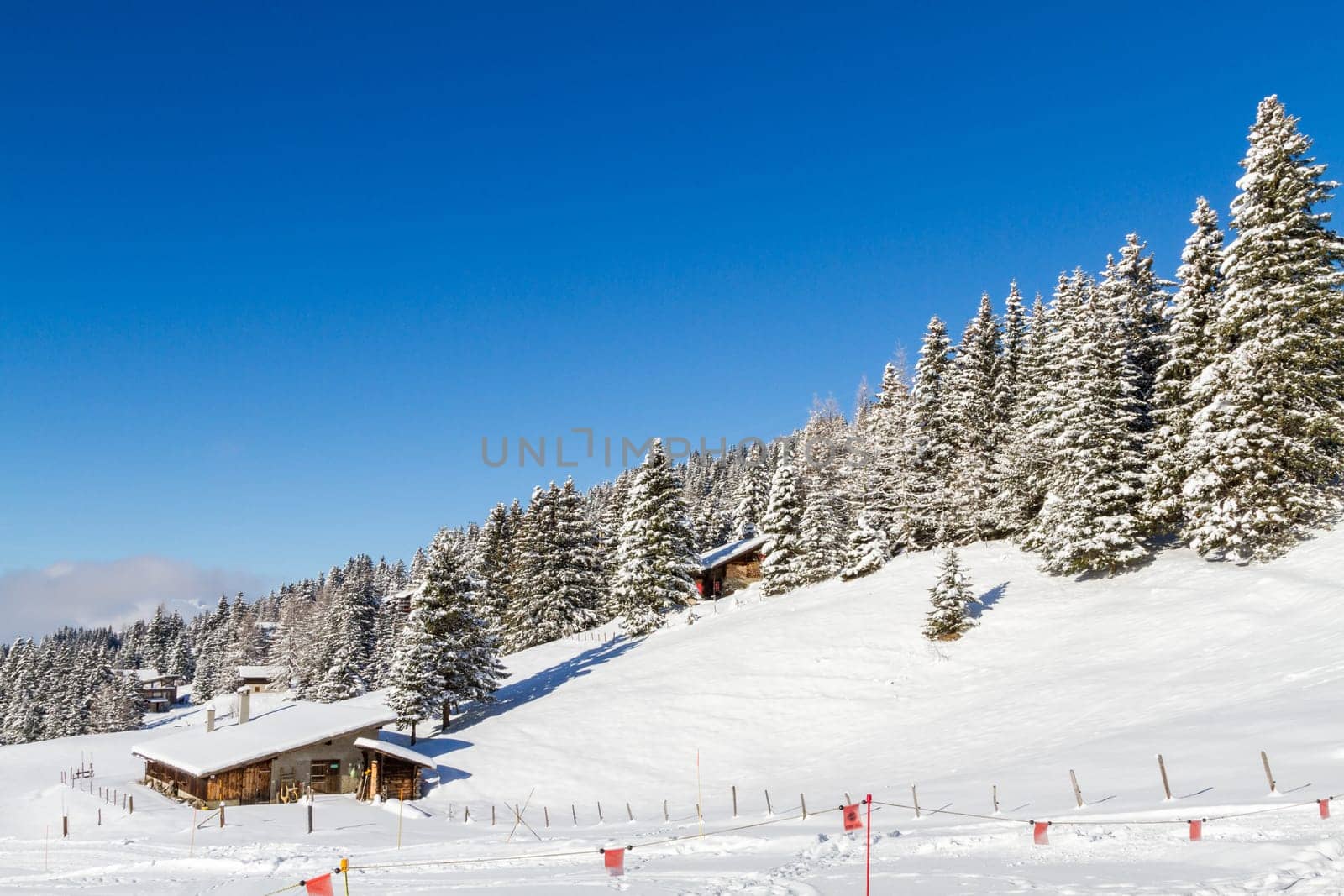 In the Swiss Alps.