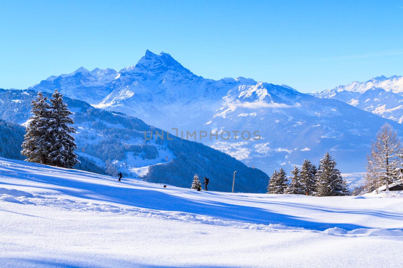 winter landscape,landscape,alps,switzerland,winter,mountains,snow,spruce