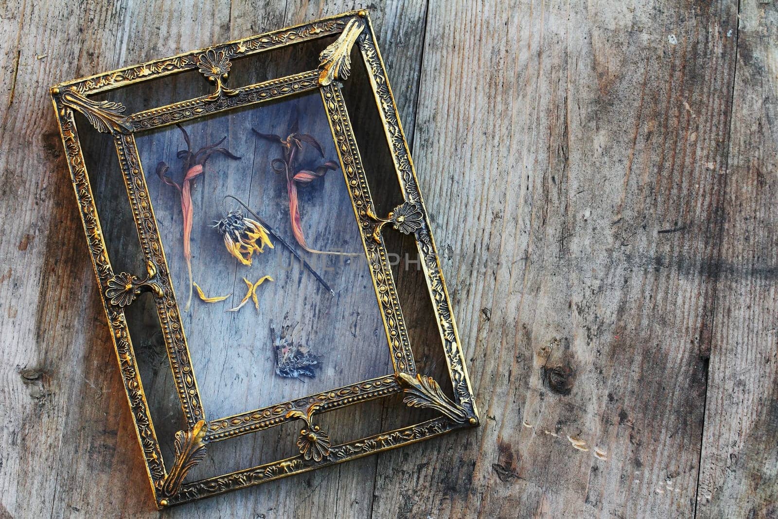 Dried flowers and a dead butterfly in an old brass picture frame
