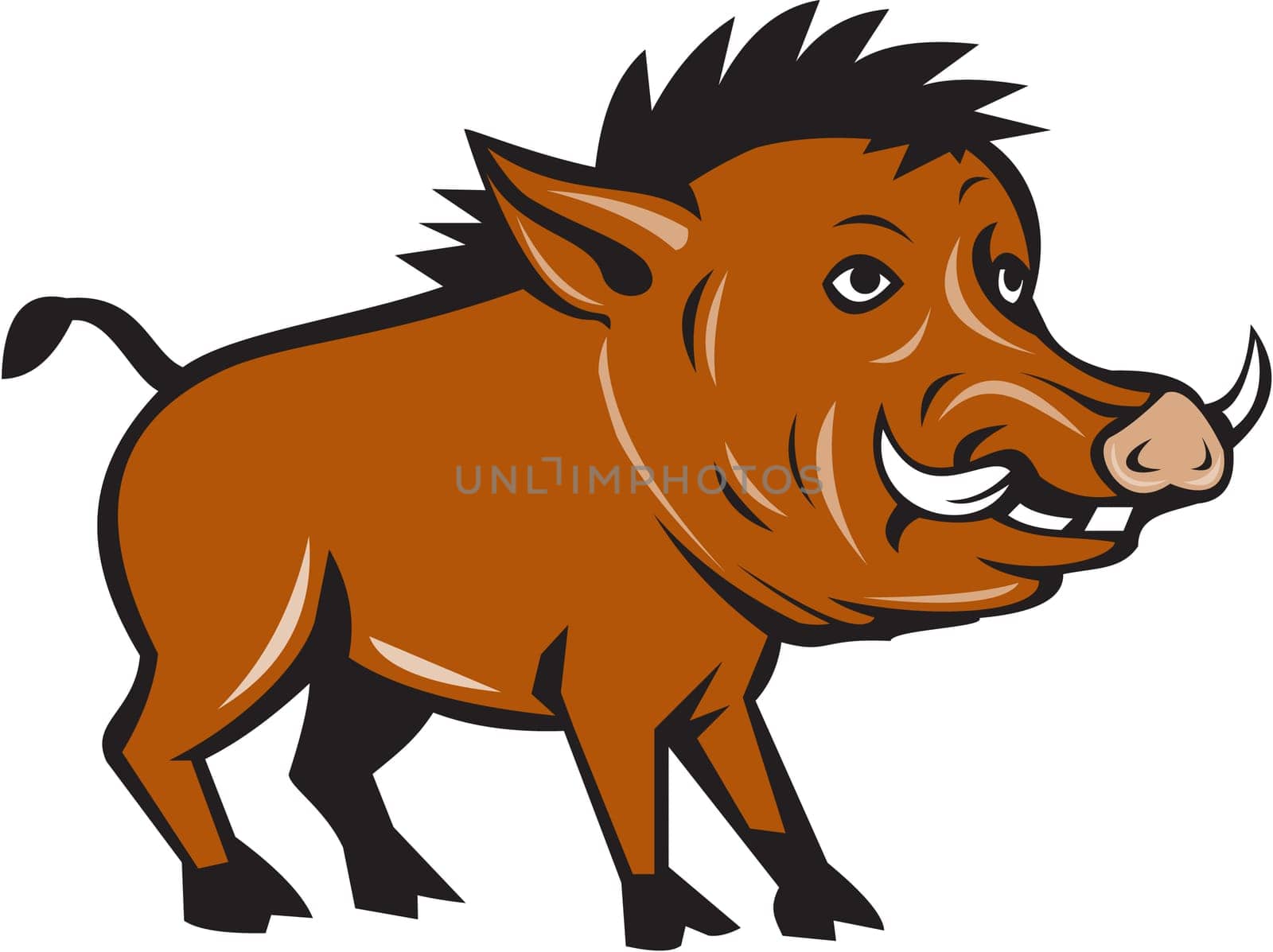 Illustration of a wild pig boar razorback viewed from the side set on isolated white background done in cartoon style.