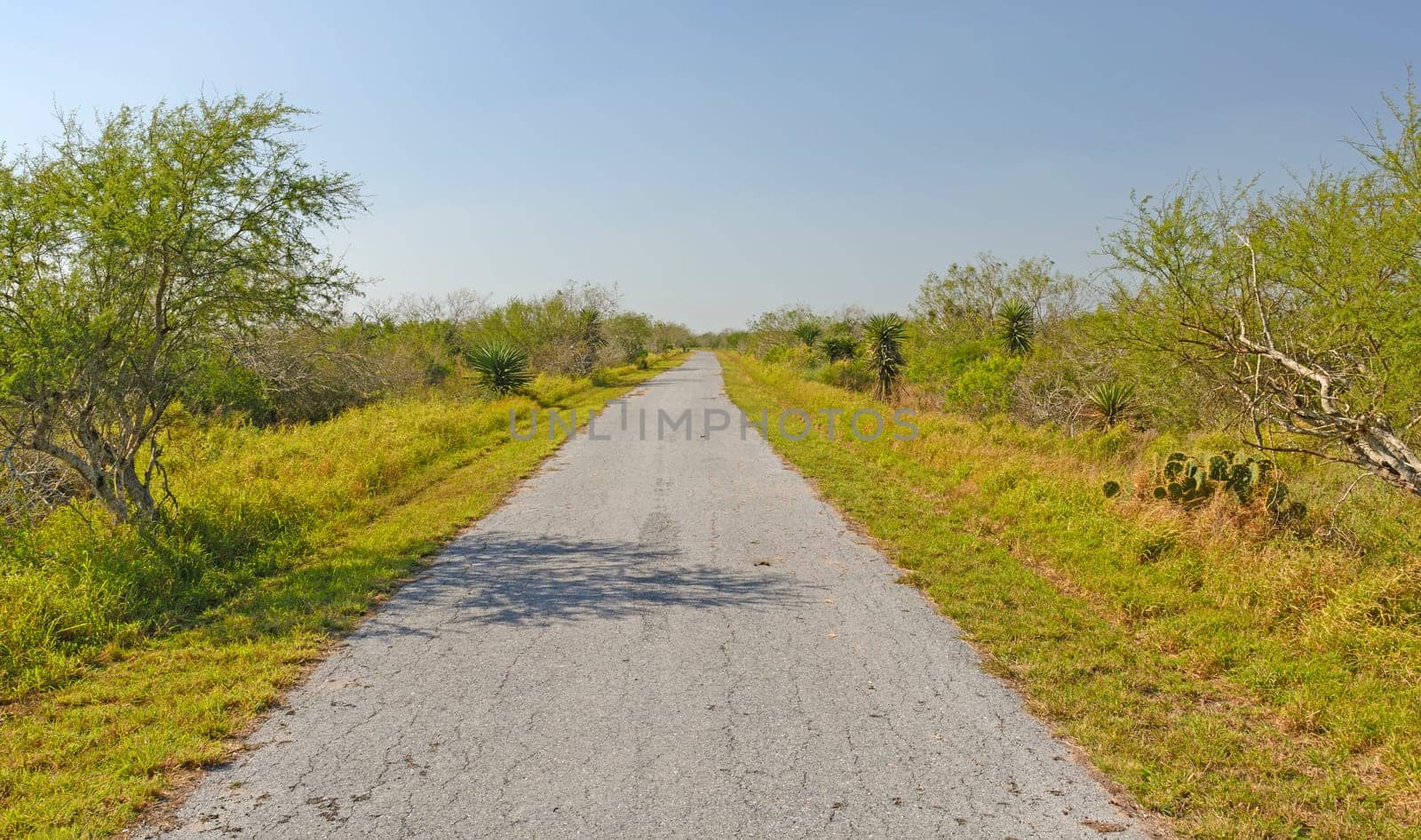 Lonely Path on a Barrier Island in Laguna Atascosa National Wildlife Refuge in Texas
