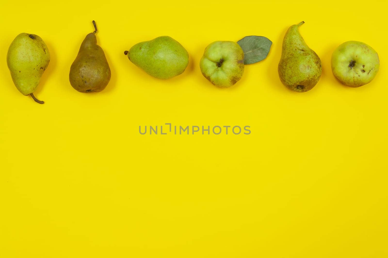 Pears and quince in row on yellow background with copy space