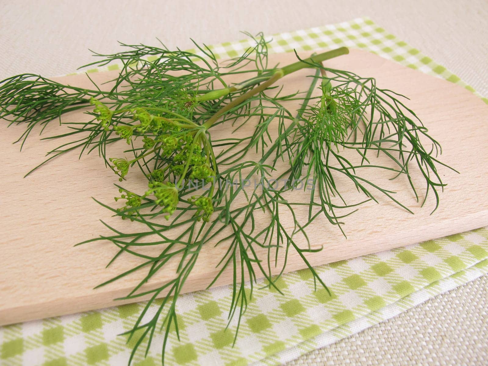Fresh dill