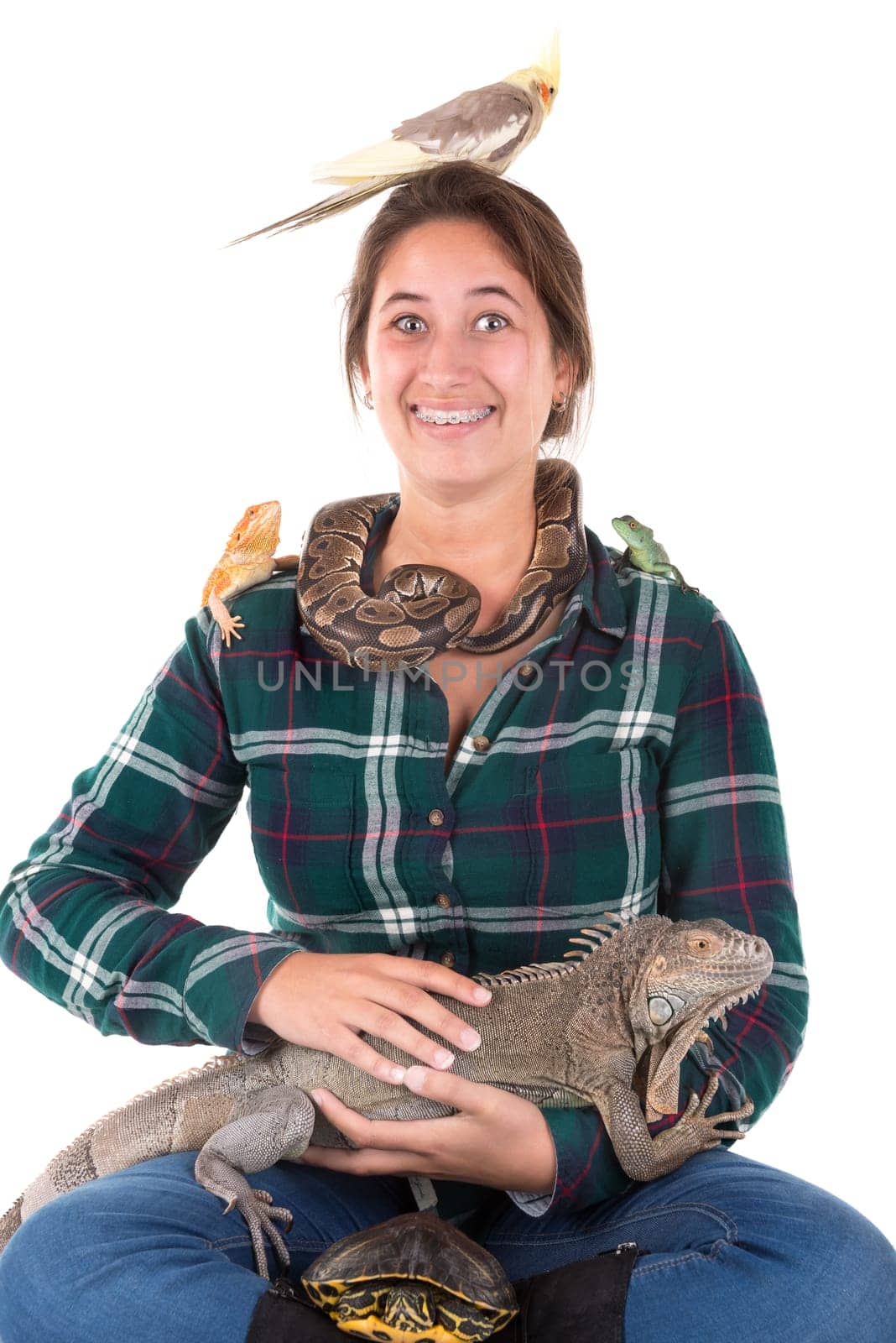 Girl with several pet animals isolated in white