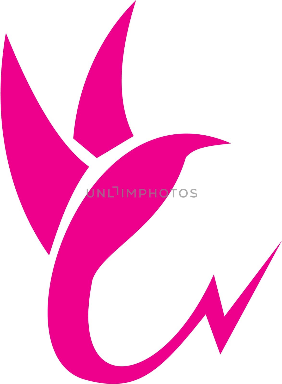 Illustration of a hummingbird lightning tail set on isolated white background done in retro style.