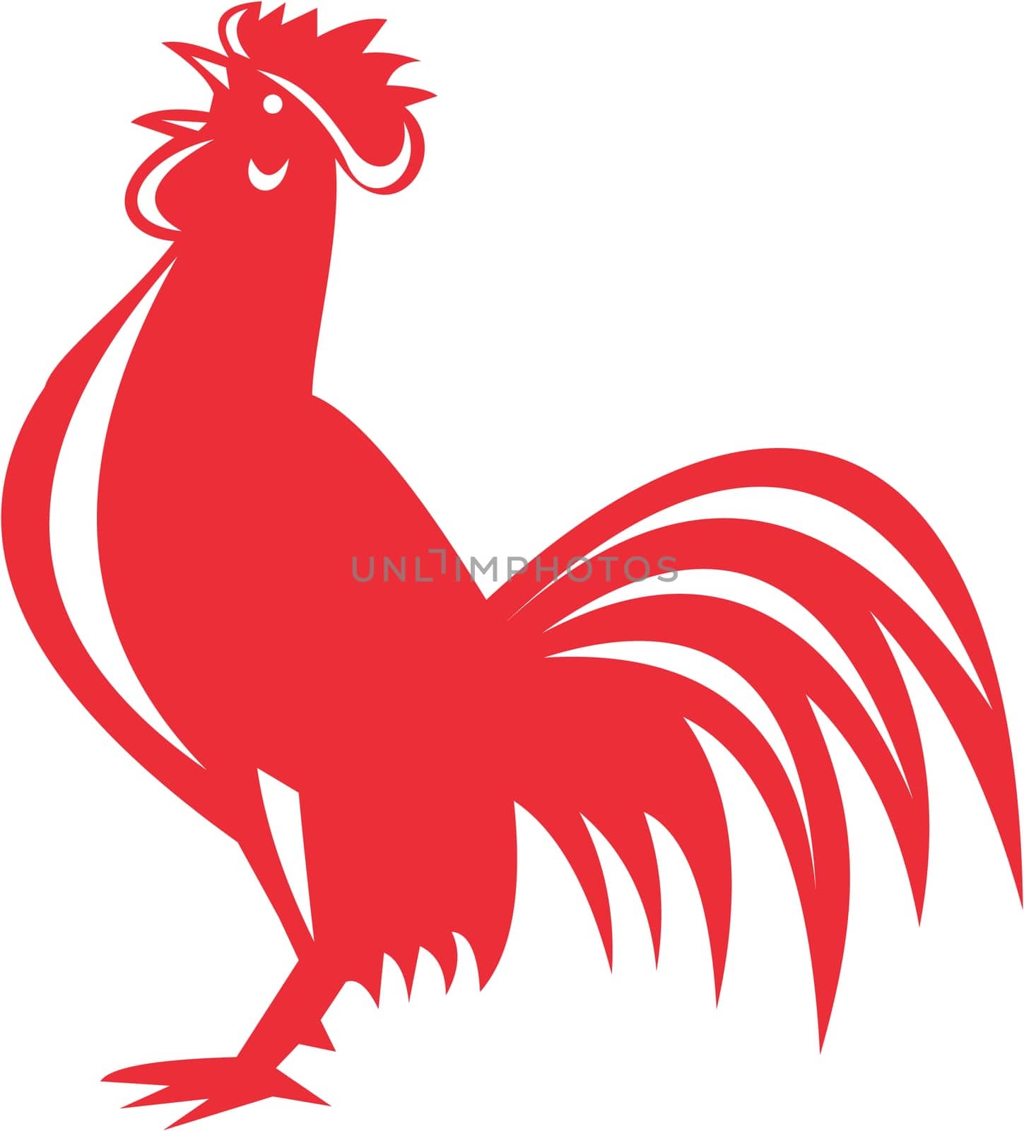 Illustration of a chicken rooster crowing viewed from the side set  on isolated white background done in retro style.