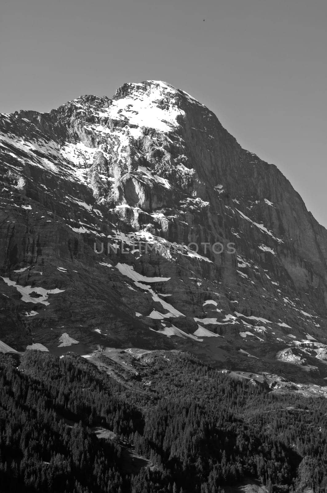 Swiss Alps - snow capped mountains and deep valleys, stunning view, breath-taking panorama