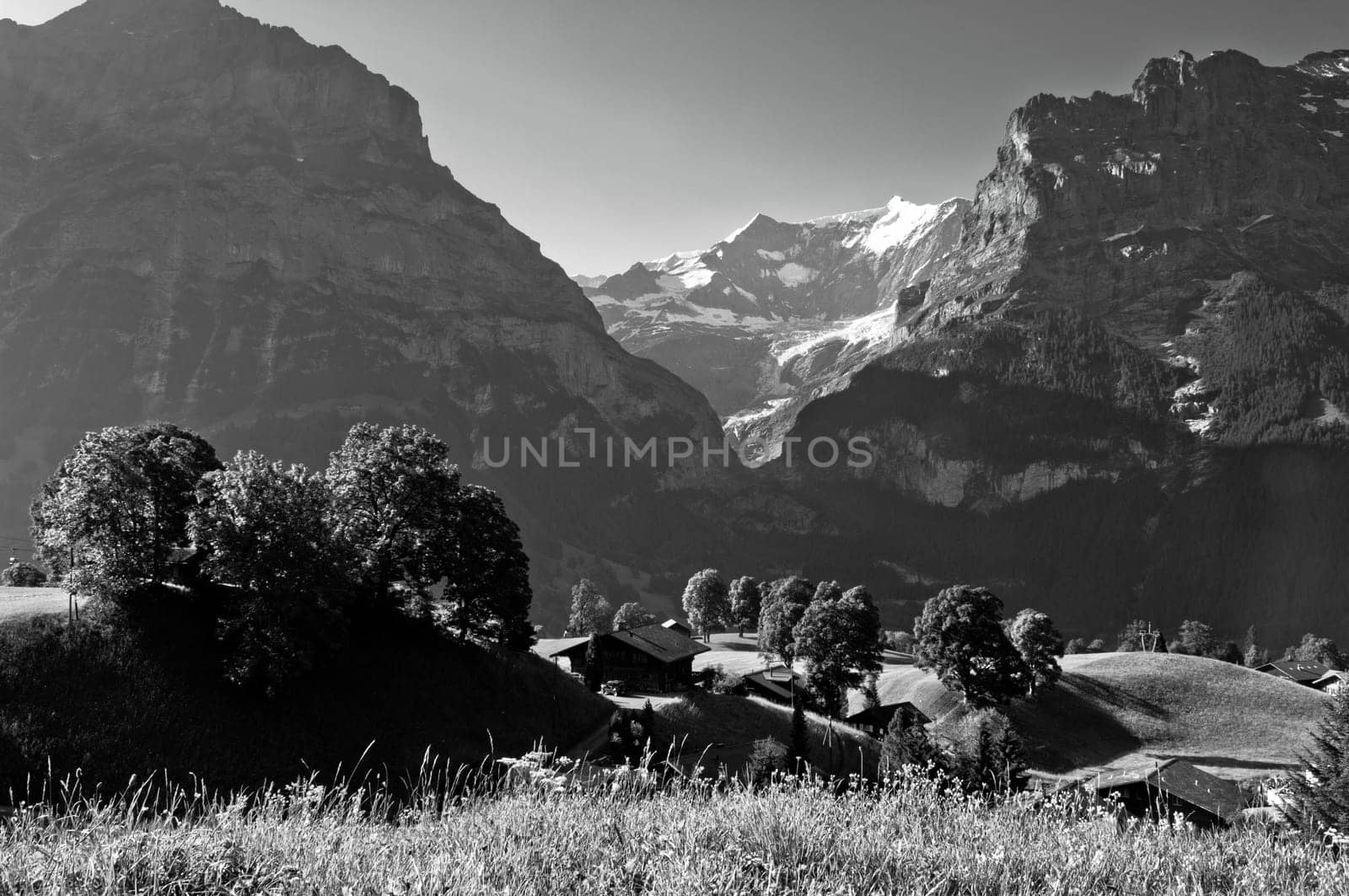 Swiss Alps - snow capped mountains and deep valleys, stunning view, breath-taking panorama