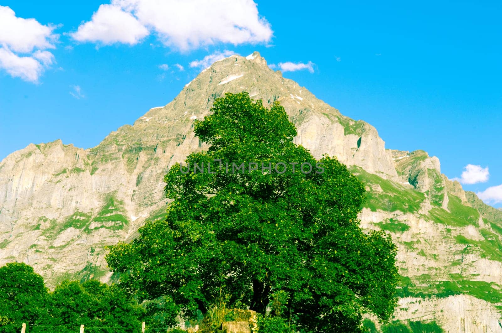 Swiss Alps - snow capped mountains and deep valleys, stunning view, breath-taking panorama