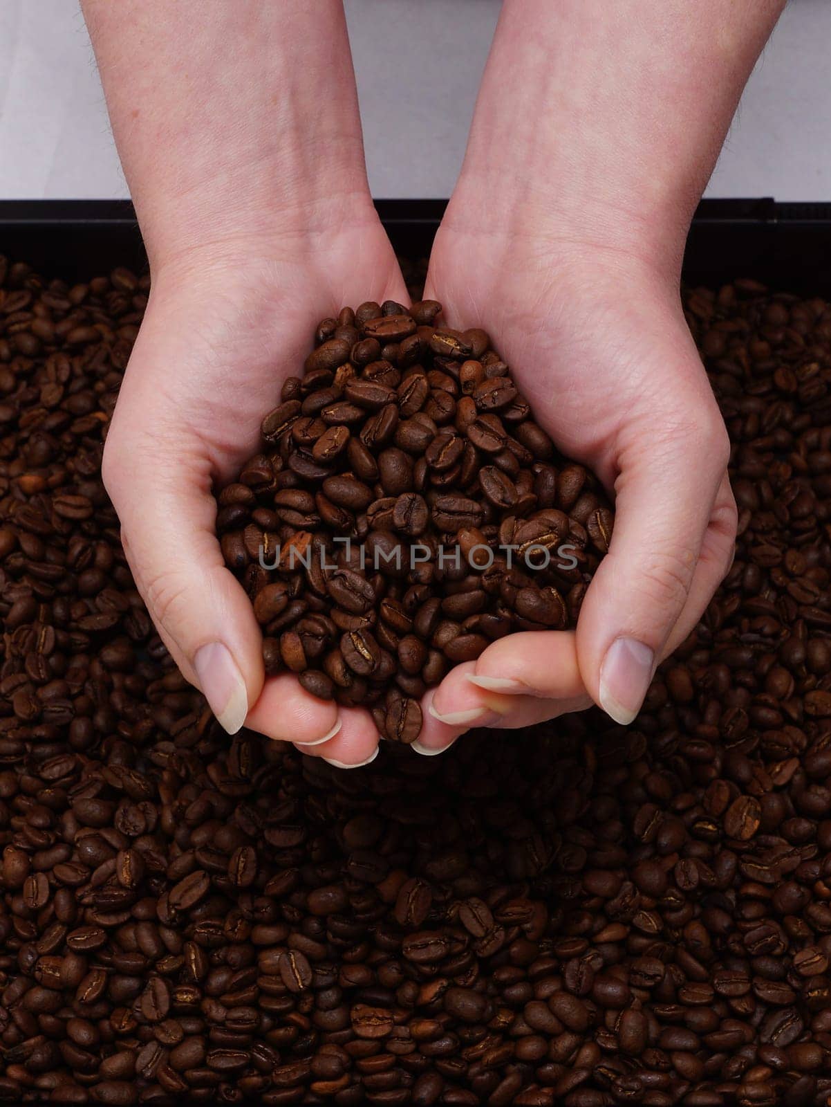 Women's hats and fresh coffee beans