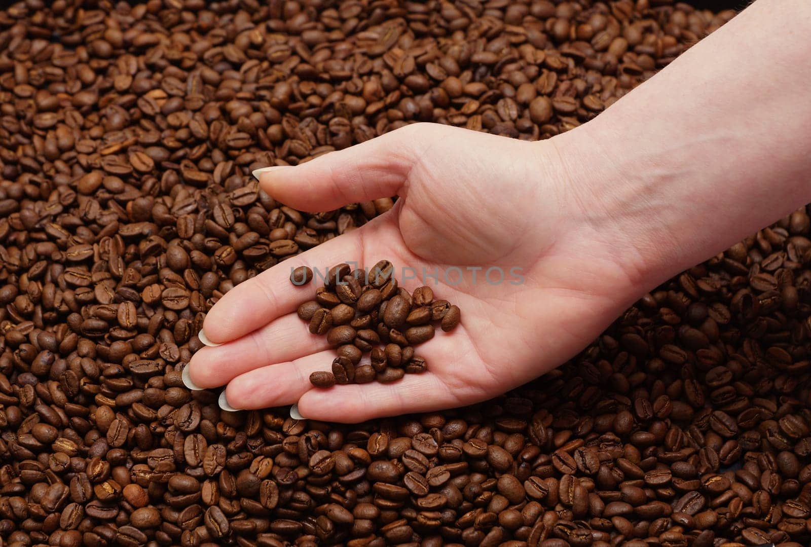 Women's hand and fresh coffee beans