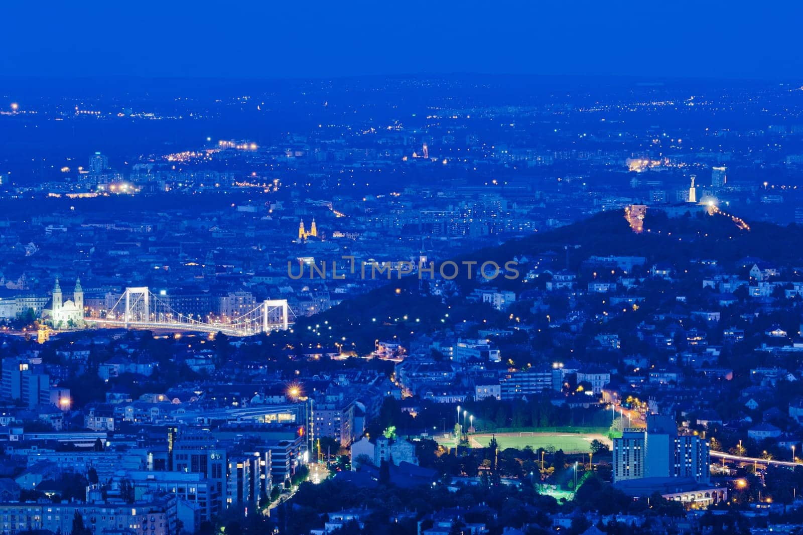 Evening skyline of Budapest with Gellert hill and Elizabeth Bridge, Hungary