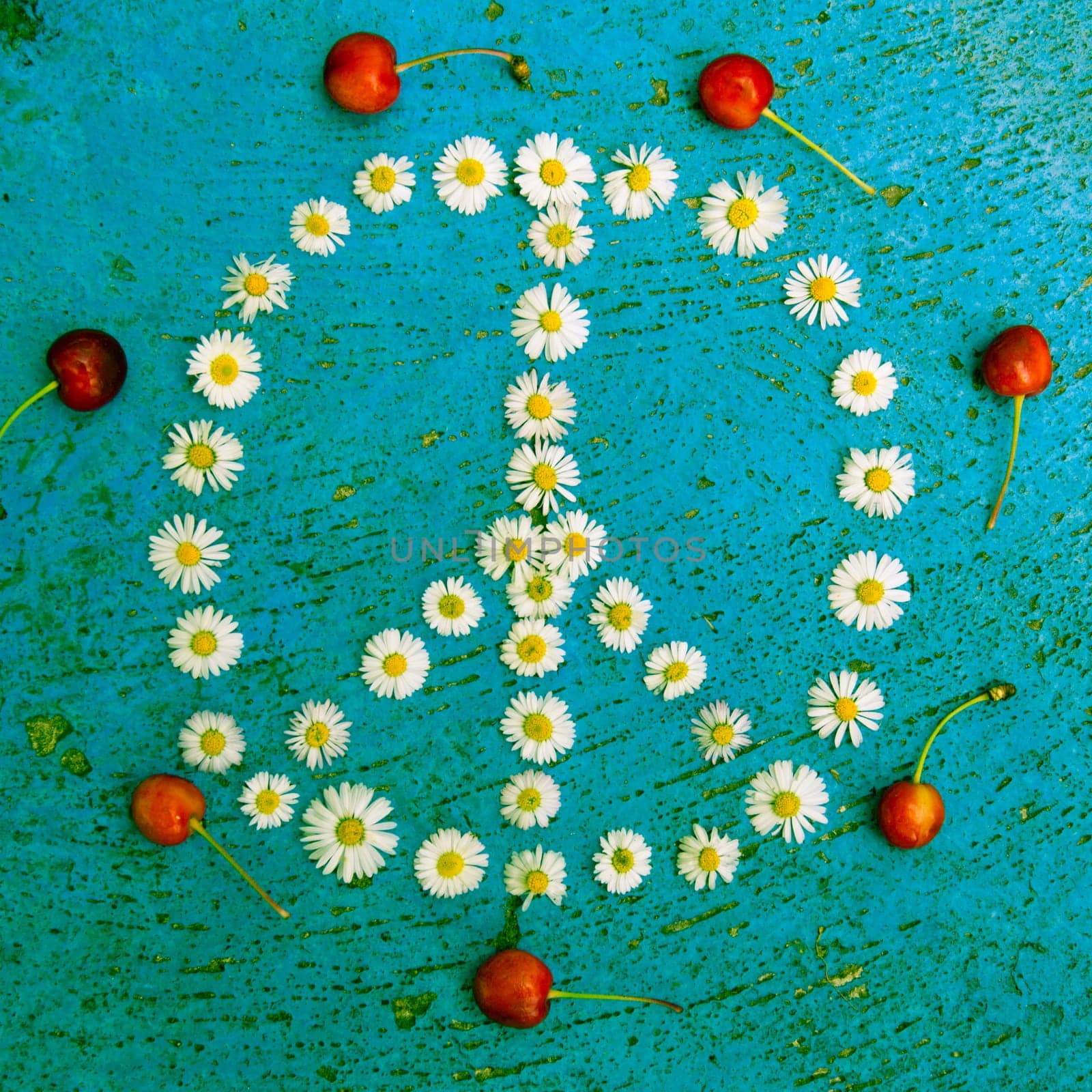 Peace sign, peace symbol, peace design created of daisy flowers on textured blue background