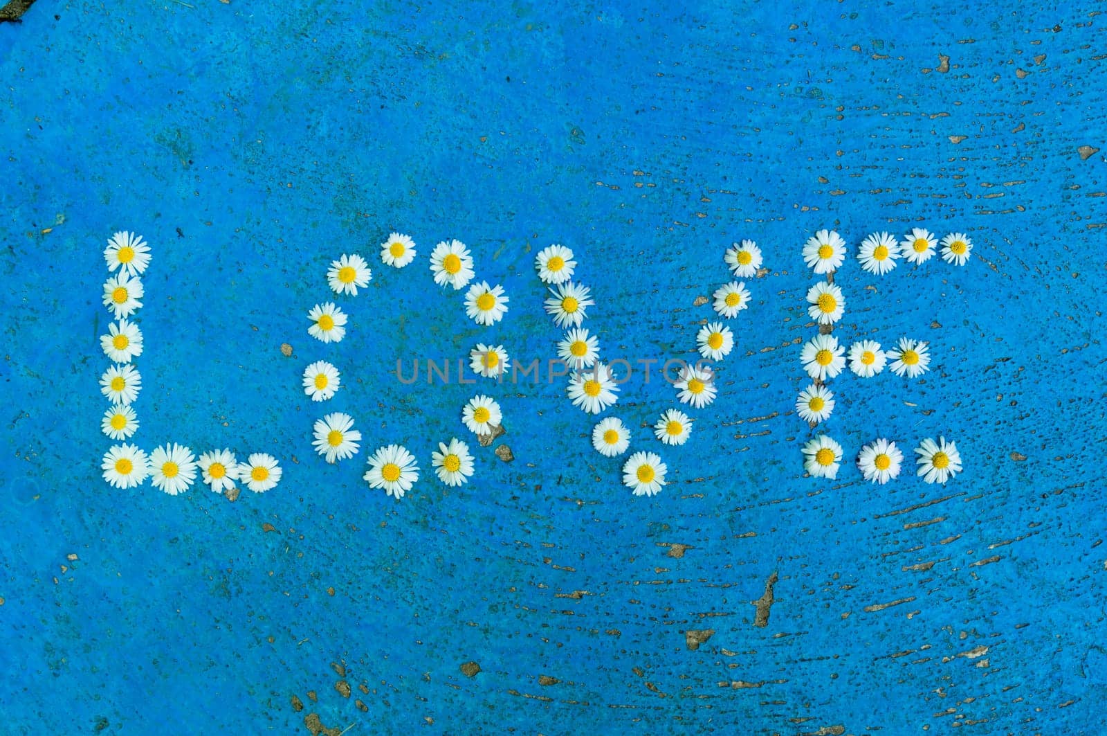 The word Love written of daisy flowers on textured blue background, top view