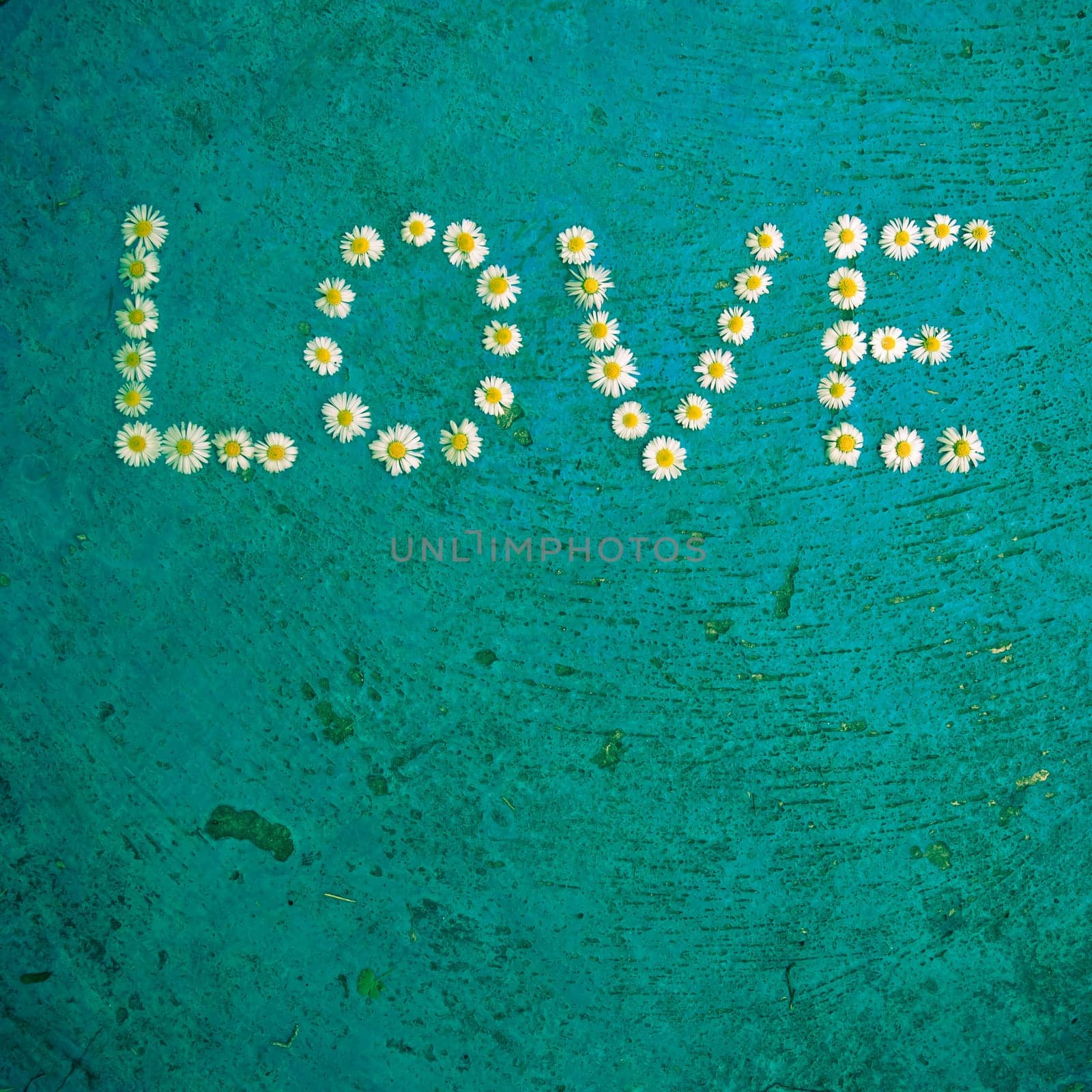 The word Love written of daisy flowers on textured blue background, top view