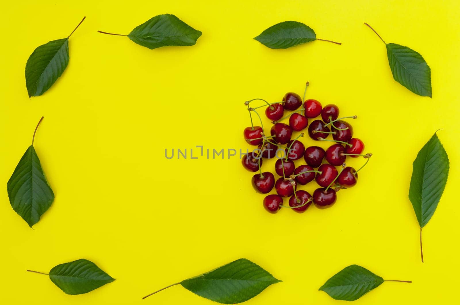 Cherry, cherries with cherry leaves on yellow background, top view