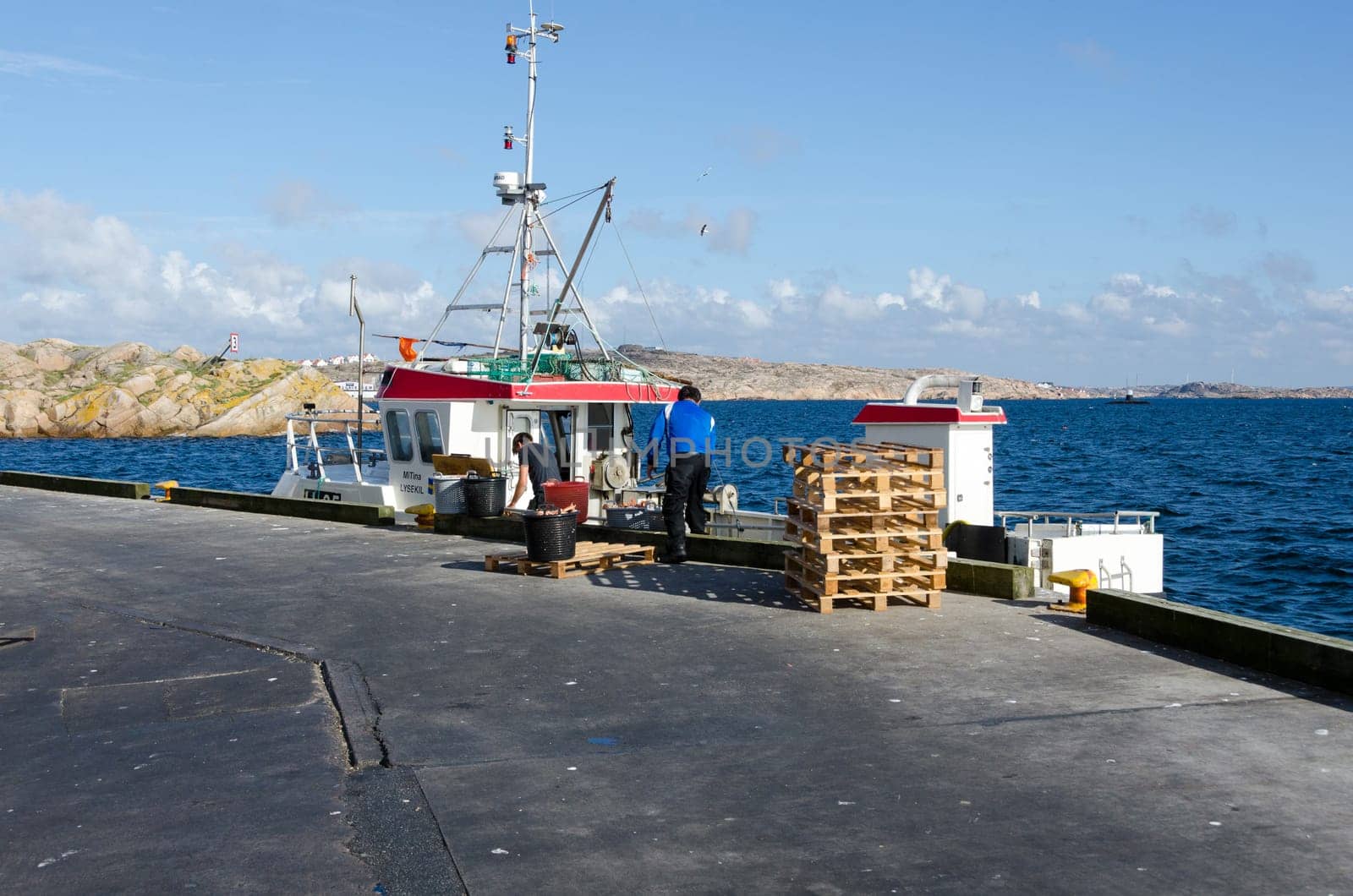 one small fishingboat unload their cargo with .crawfish on a pier in bohuslan smogen