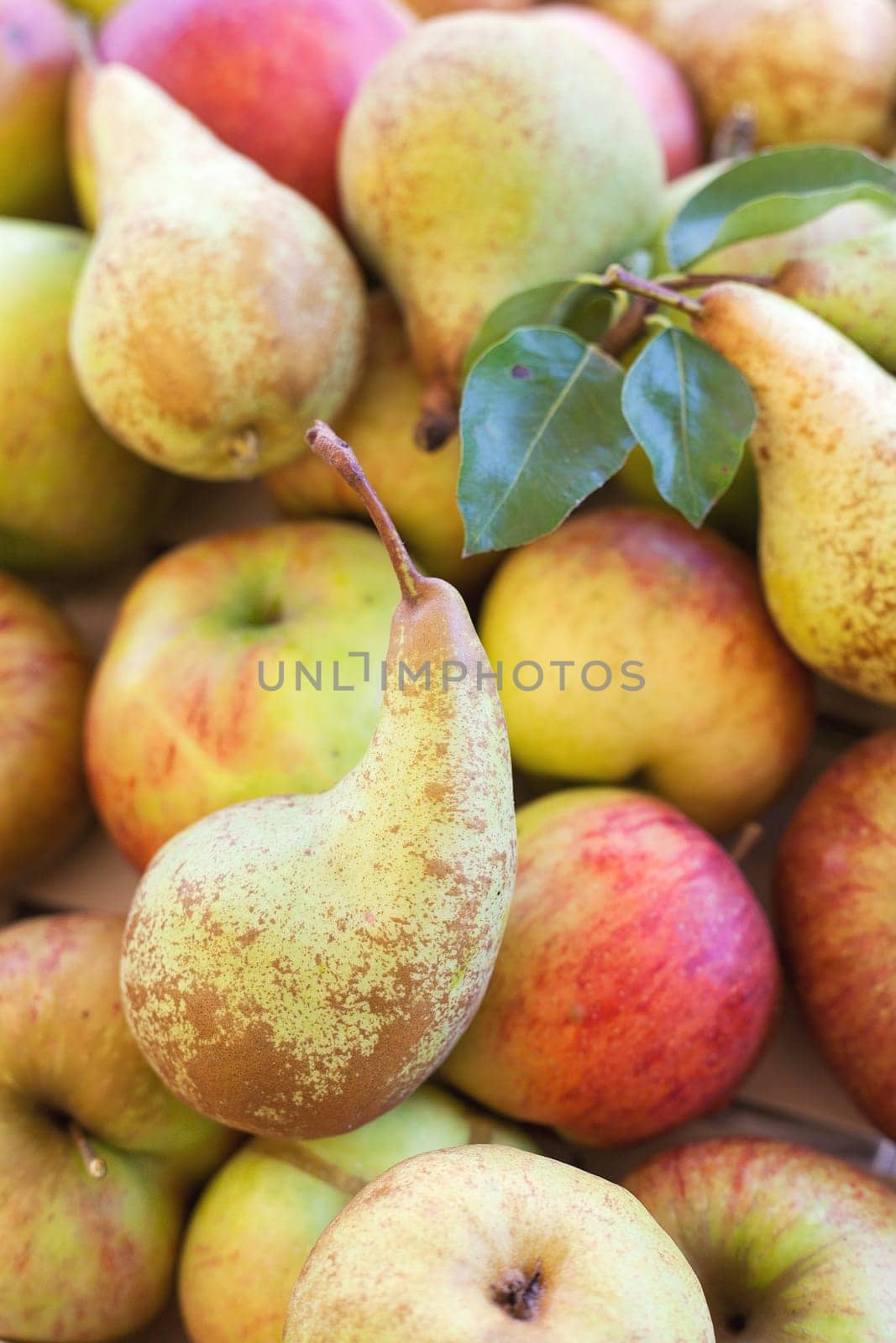 Background apples and pears