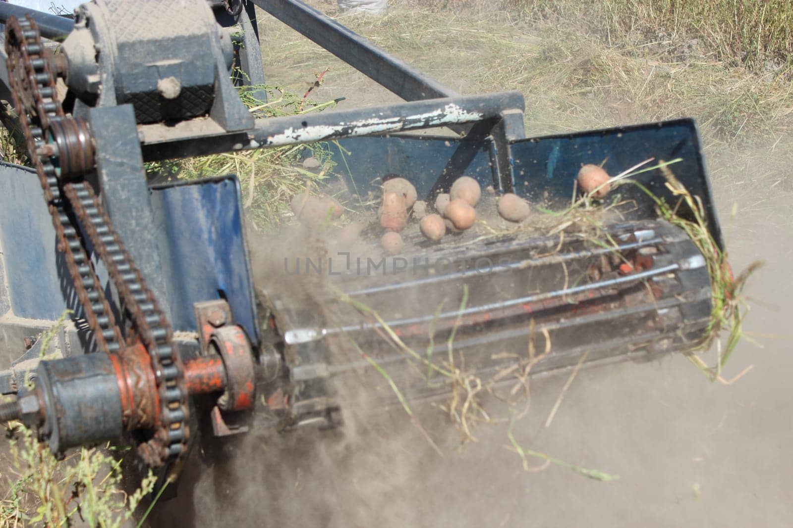 tractor with special equipment for digging the potato