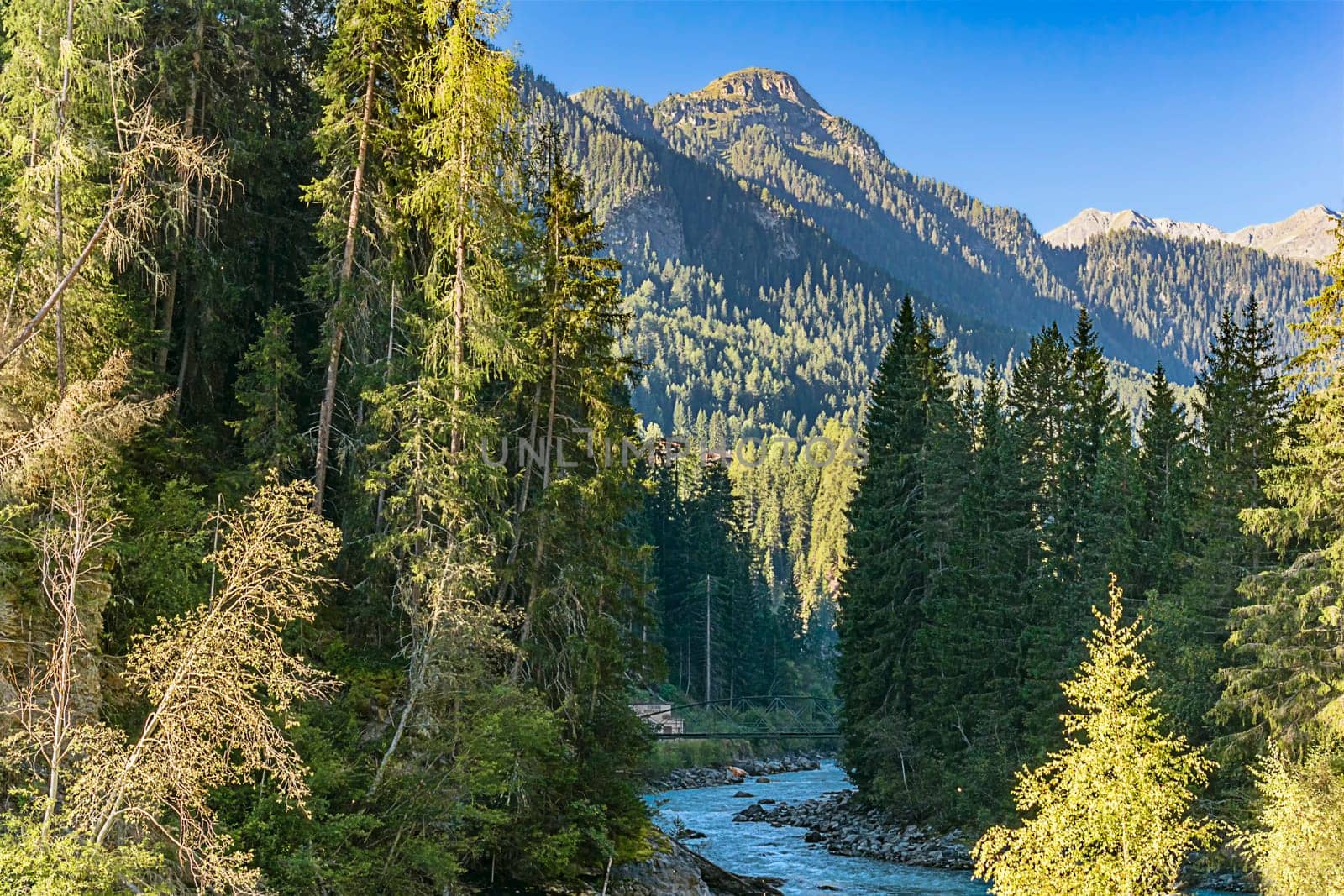 wild Inn Valley