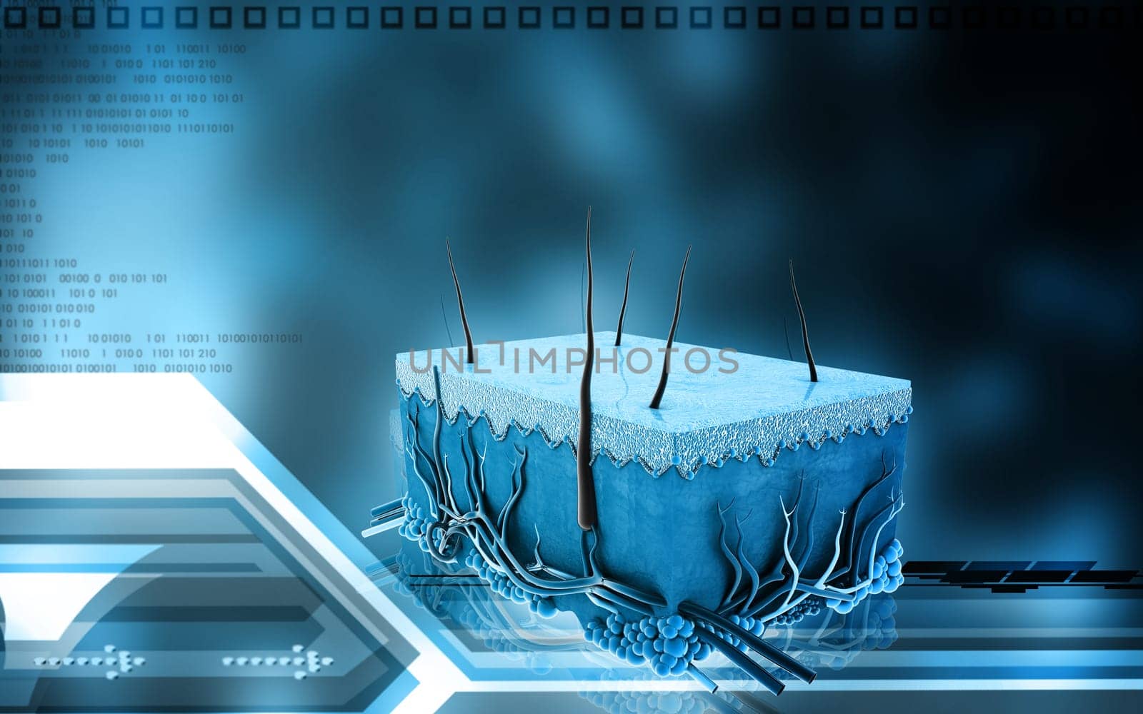 Digital illustration of Skin in colour background