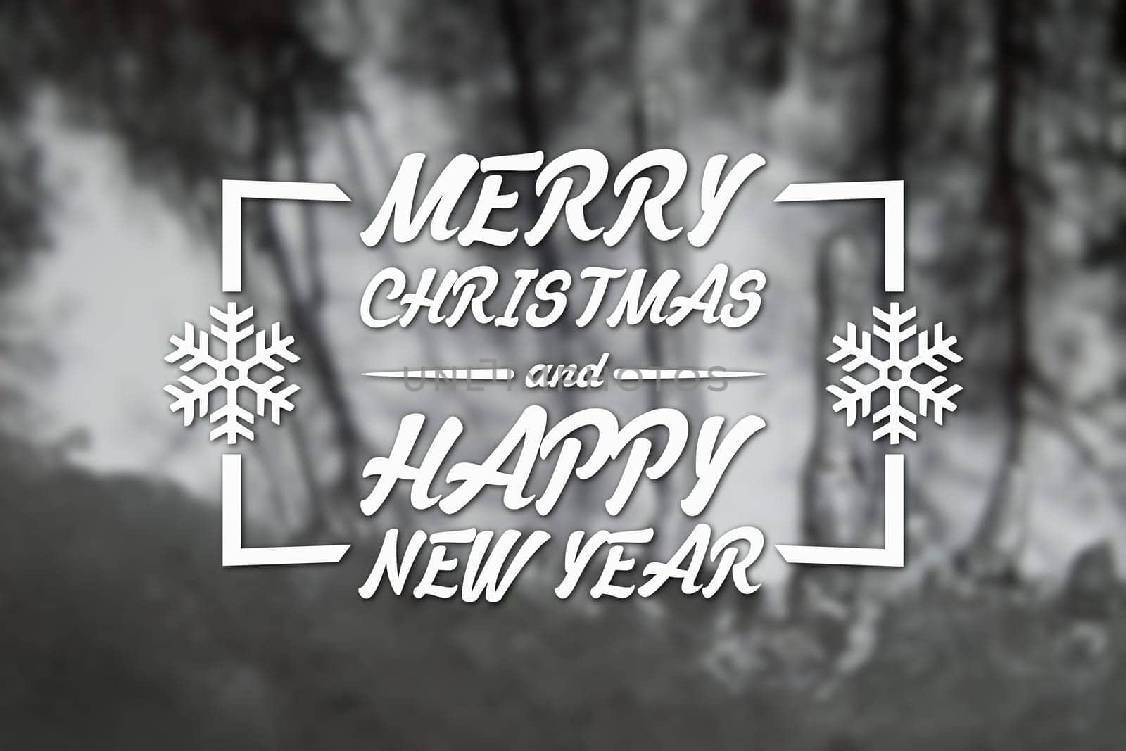 Merry Christmas and New Year greeting card on blurred trees at winter black and white background